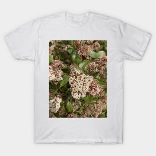 Welcome, Spring T-Shirt